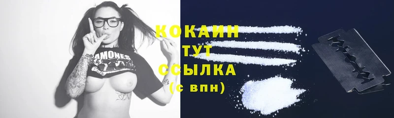 Cocaine FishScale  купить закладку  Руза 